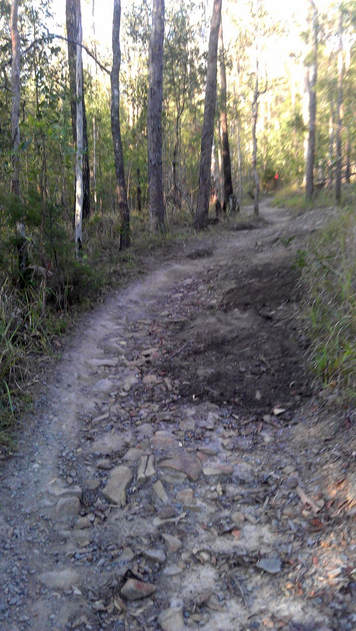 Park Repair 2